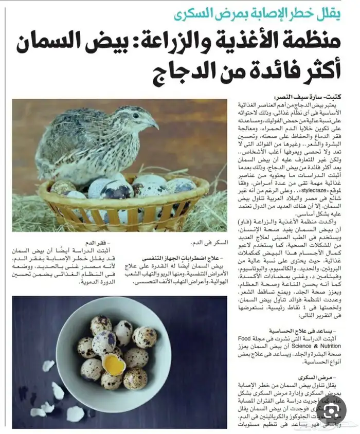 متوفر بيض سمان فري للمائده طازج مئه بالمئه 6