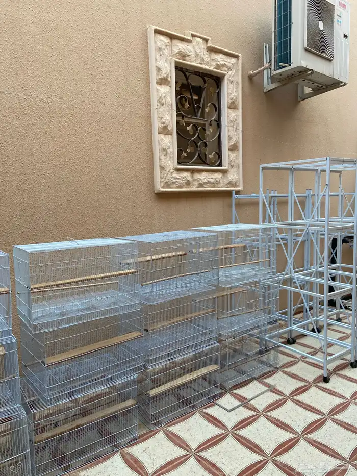 مشروع طيور كامل 2