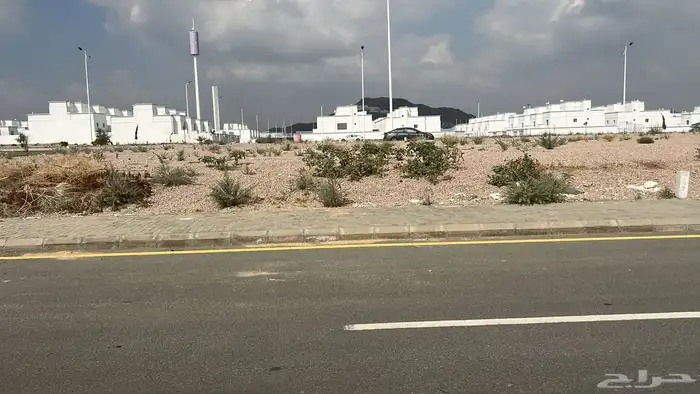 فرصة الايجارستثمارية في مدينة الورود الطائف جنب بعض بمساحة 1 0