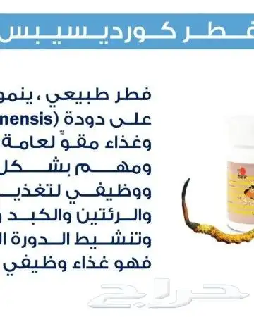 مسحوق الكورديسبس 3