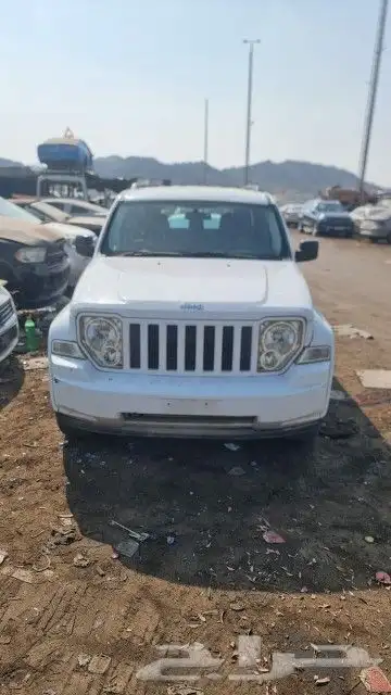 جيب شروكى ليبرتى2011 0