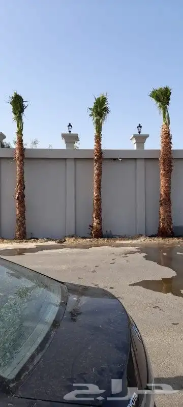 تنسيق حدائق 0