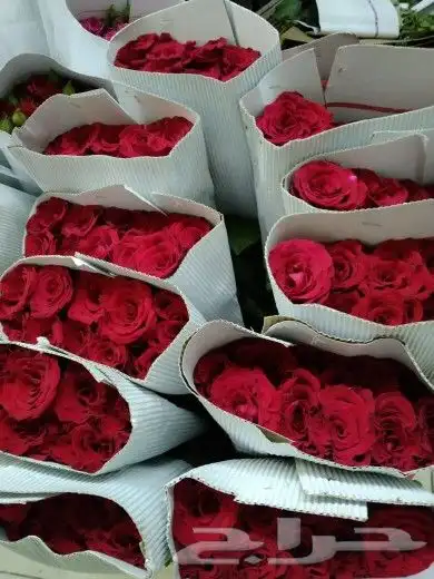 فل عريشي ورد طبيعي 5