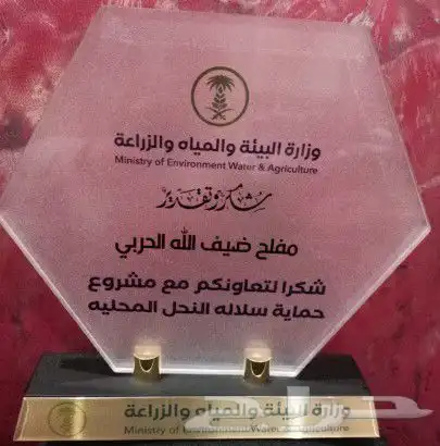 عسل الطلح 0