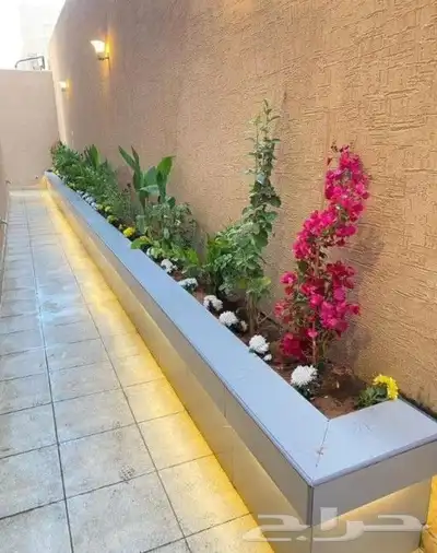 عشب صناعي جيزان انجيله تنسيق حدائق انجيله 12
