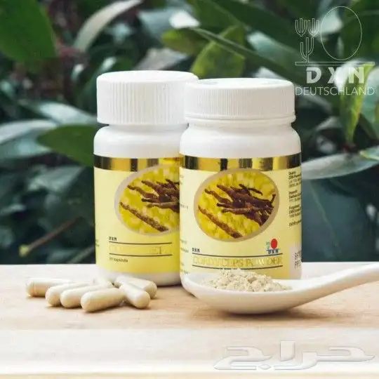 مسحوق الكورديسبس 1