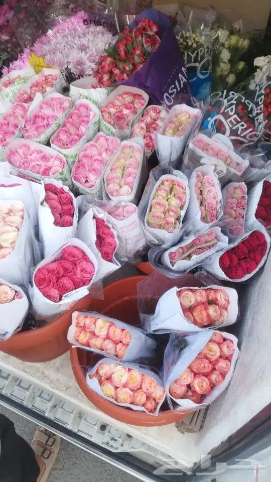 فل عريشي ورد طبيعي 0