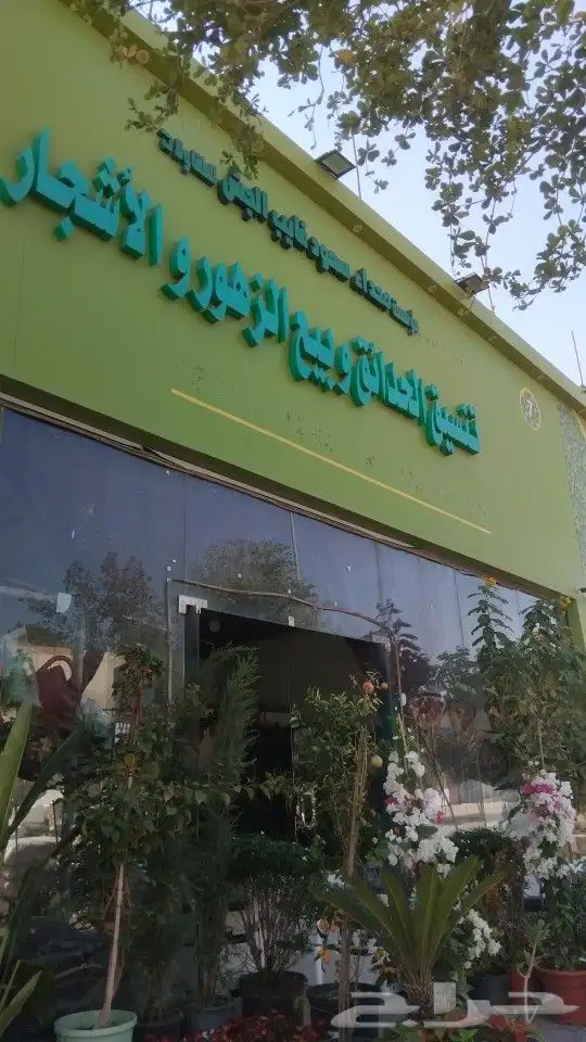 مشاتل لتنيسق الحدائق وزراعةالزهور والنخيل والاشجار و الثيل 6