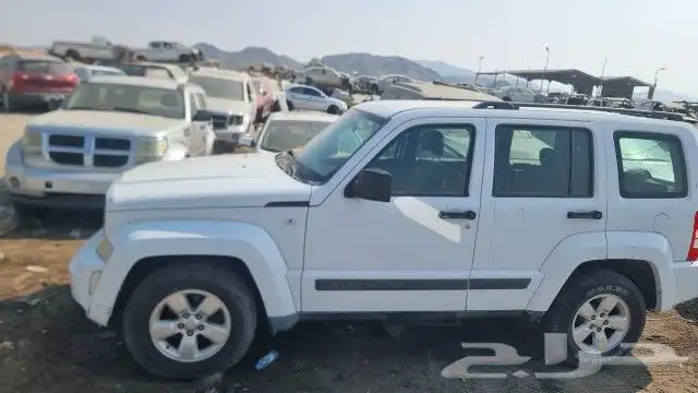 جيب شروكى ليبرتى2011 4