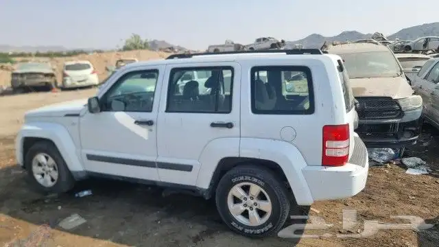 جيب شروكى ليبرتى2011 1