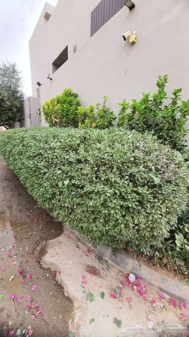 تنسيق حدائق 25