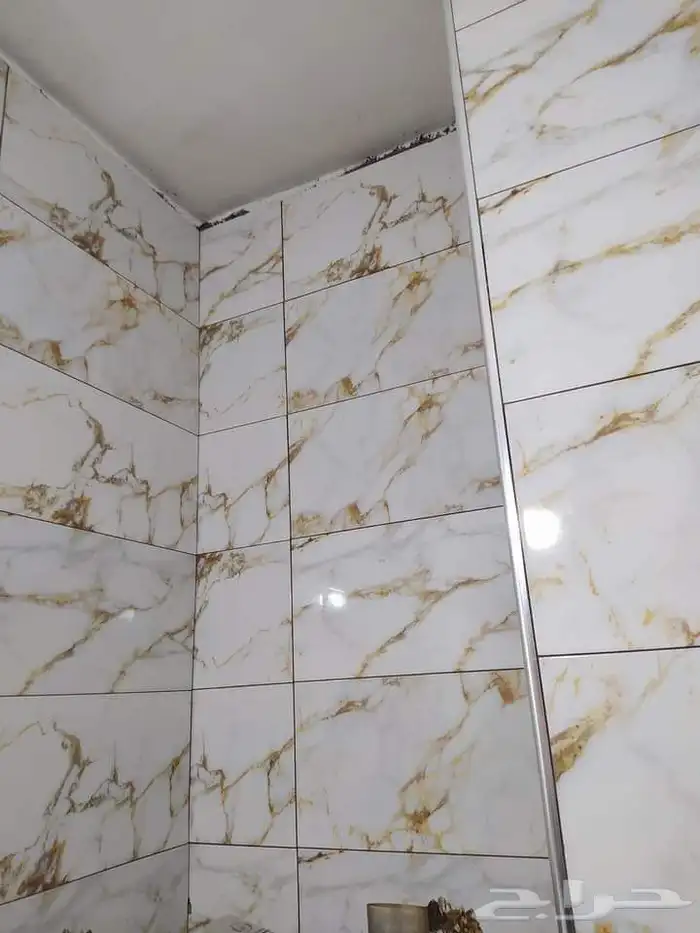 معلم بلاط وبرسلان 4