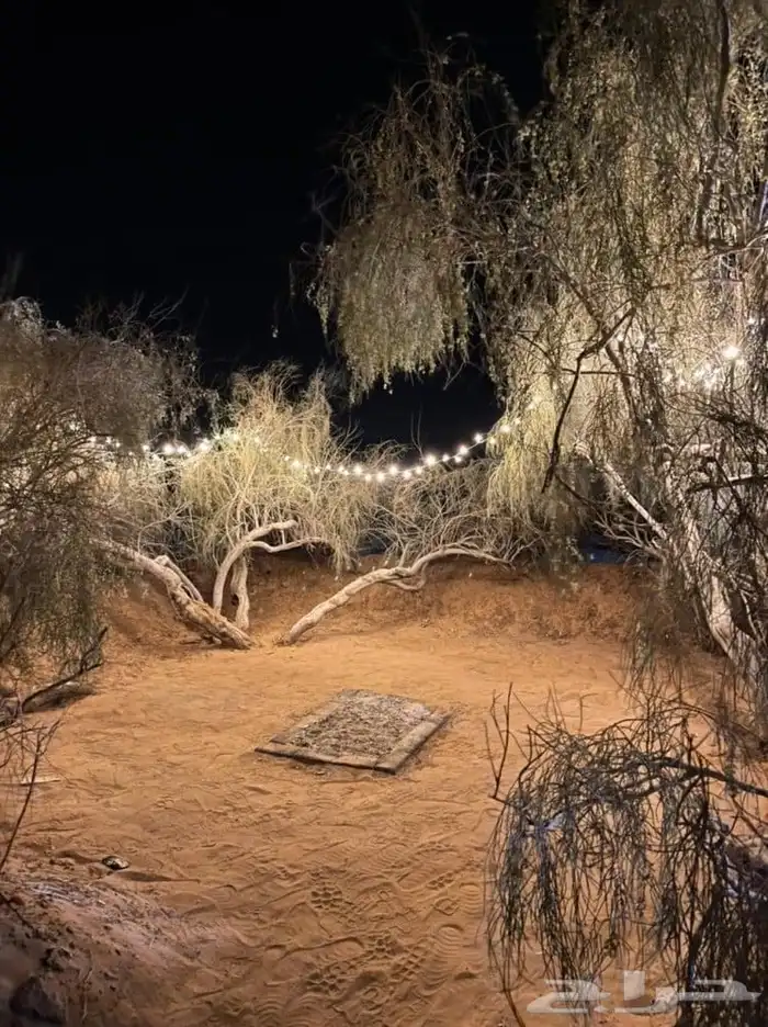 للبيع اناره كشتات السعر60 1