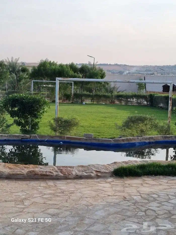 زراعة خضروات وتنسيق حدائق ونخيل وأشجار بأنواعها 5