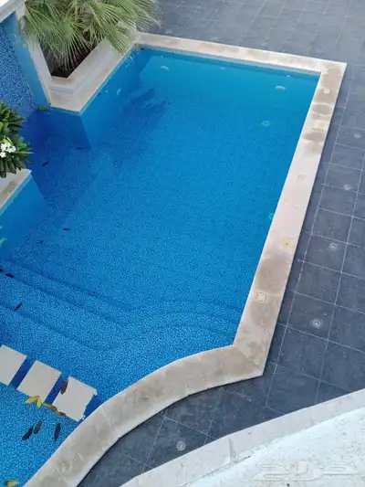 مقاول مجالس ومسابح 5