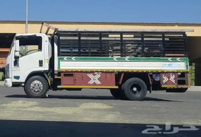 دينا شبك نقل داخل وخارج نجران 0