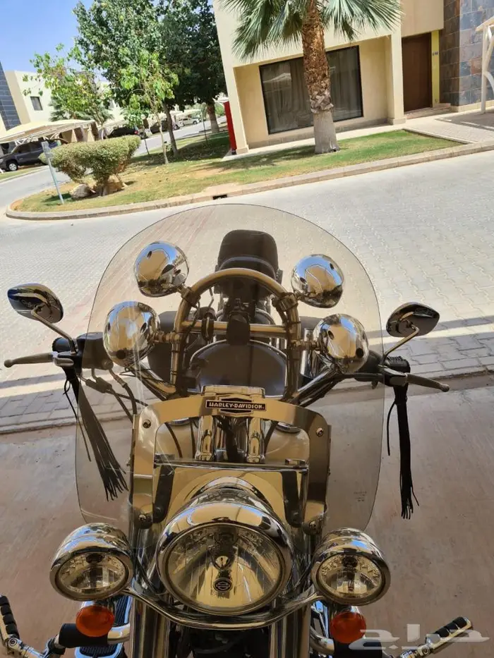 Harley Softail Deluxe 2015 4