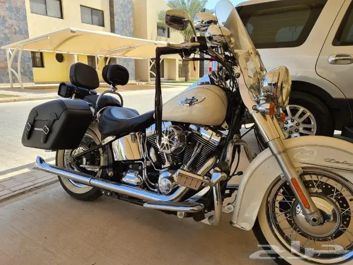 Harley Softail Deluxe 2015 6