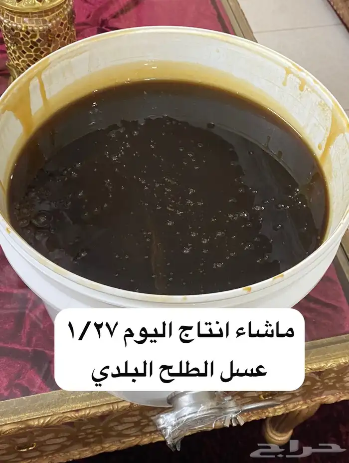 عسل سدره شمع وسايل نحل بلدي مشروط 4