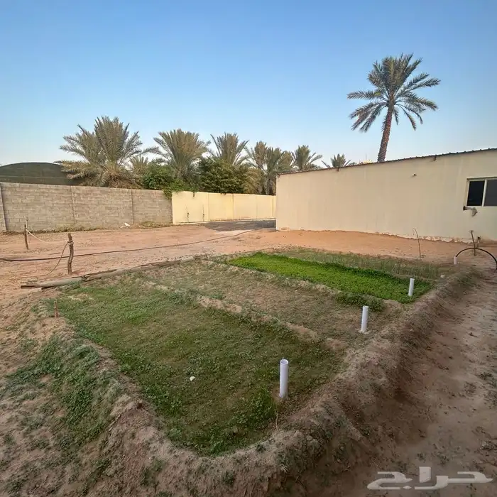 استراحة غرب بريدة للايجار 30