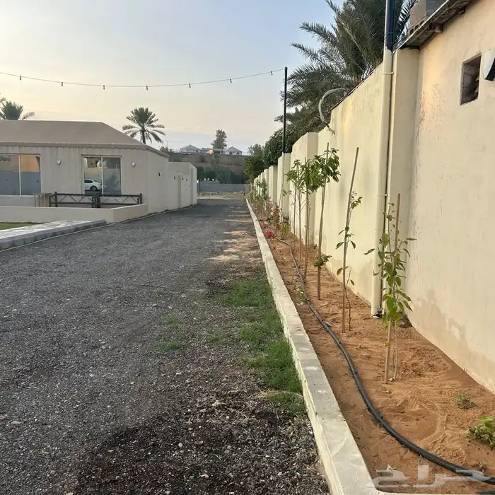 استراحة غرب بريدة للايجار 29