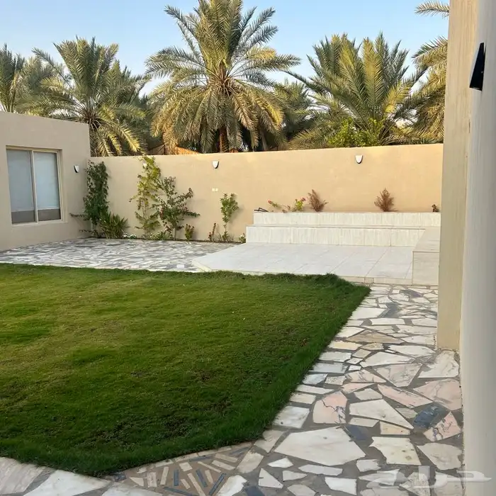 استراحة غرب بريدة للايجار 19