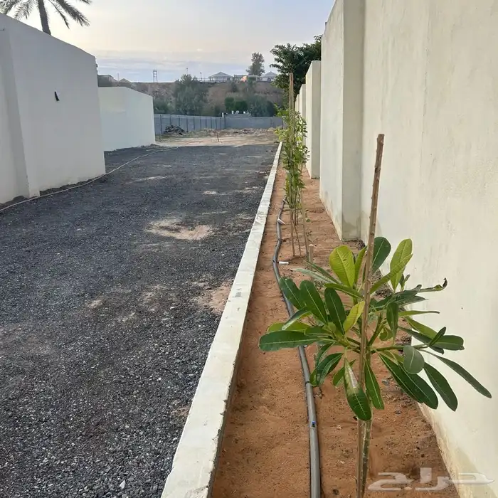 استراحة غرب بريدة للايجار 32