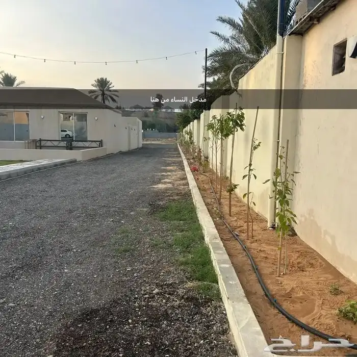 استراحة غرب بريدة للايجار 9