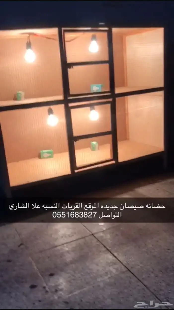 حضانات صيصان جديده الموقع القريات 10