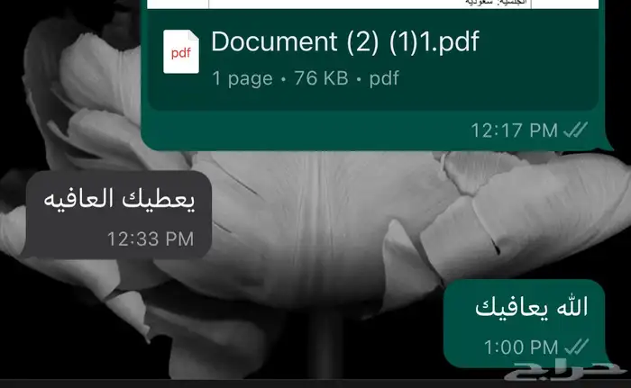 ترجمة معتمدة تقارير طبية ومقالات وبوربوينت بأي موضوع 1