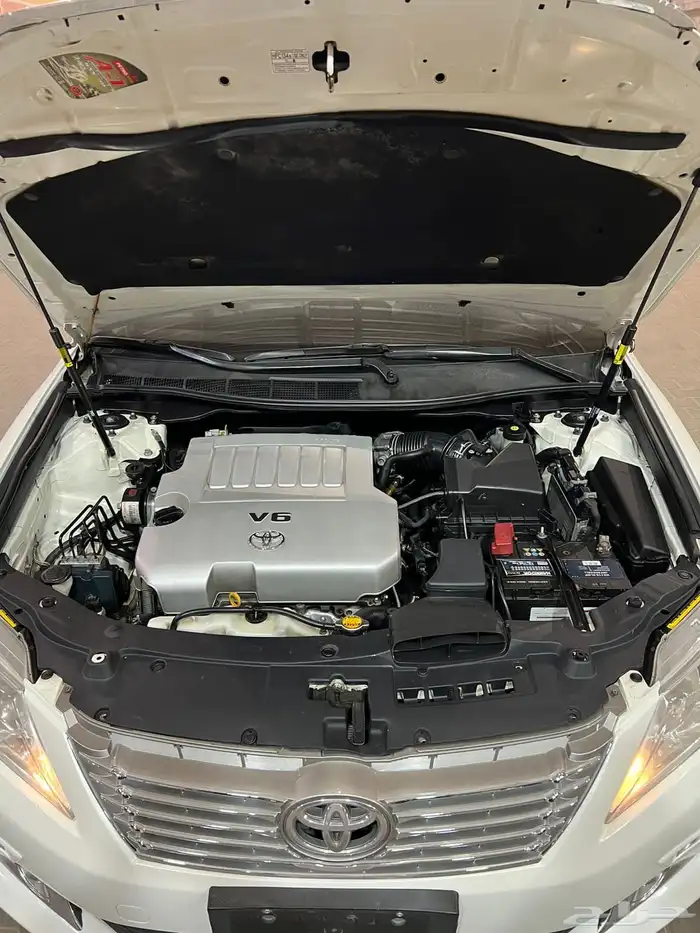 تم البيع .. 21