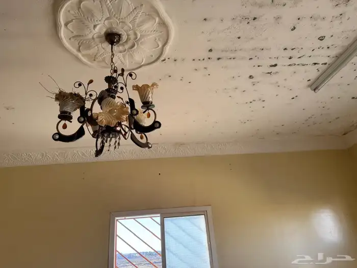 7 ثريات 3 مراوح 10 مغاسل 3 مجلى 2