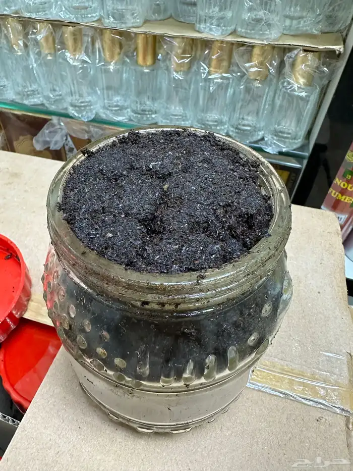 بخو دوسري ريحه وثبات 3