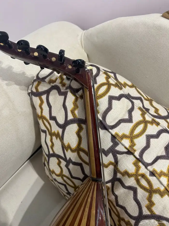 عود مصري للبيع السريع 5