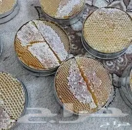 عسل سدر جبلي وسمره وروسي اصلي باقل سعر 11