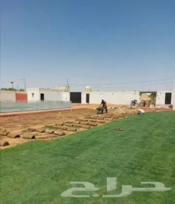 ثيل طبيعي C2000 جوده عاليه جدا مع شبكات الري الحديثه 8