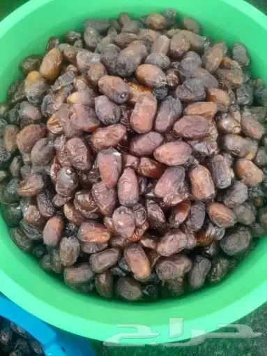 تمور حائل الفاخره 0