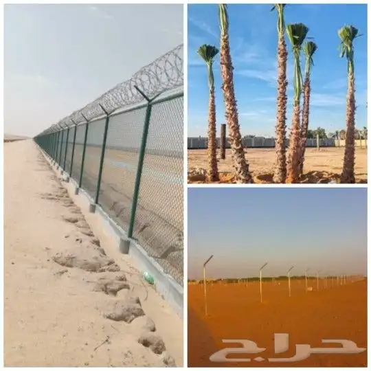 مقاول شبوك وزراعه النخيل وأشجار الزينة 6