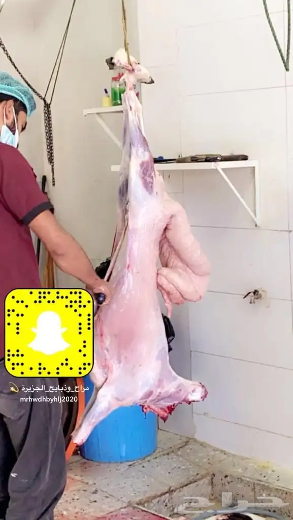 ذبايح مع خدمة الذبح والتوصيل 12