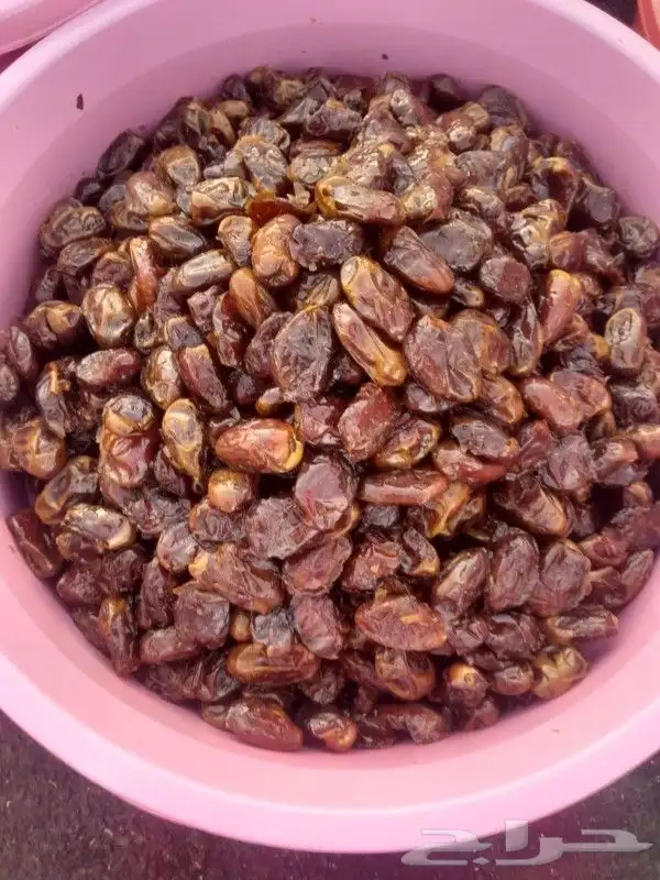 تمور حائل الفاخره 1