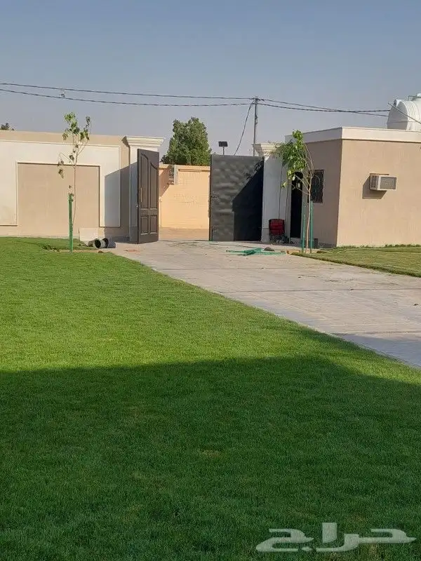 ثيل طبيعي C2000 جوده عاليه جدا مع شبكات الري الحديثه 0