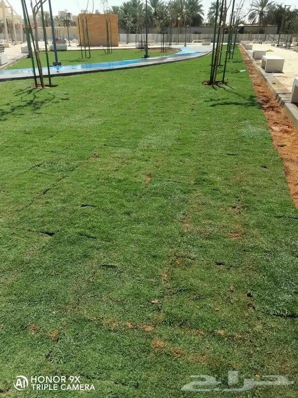 ثيل طبيعي C2000 جوده عاليه جدا مع شبكات الري الحديثه 10