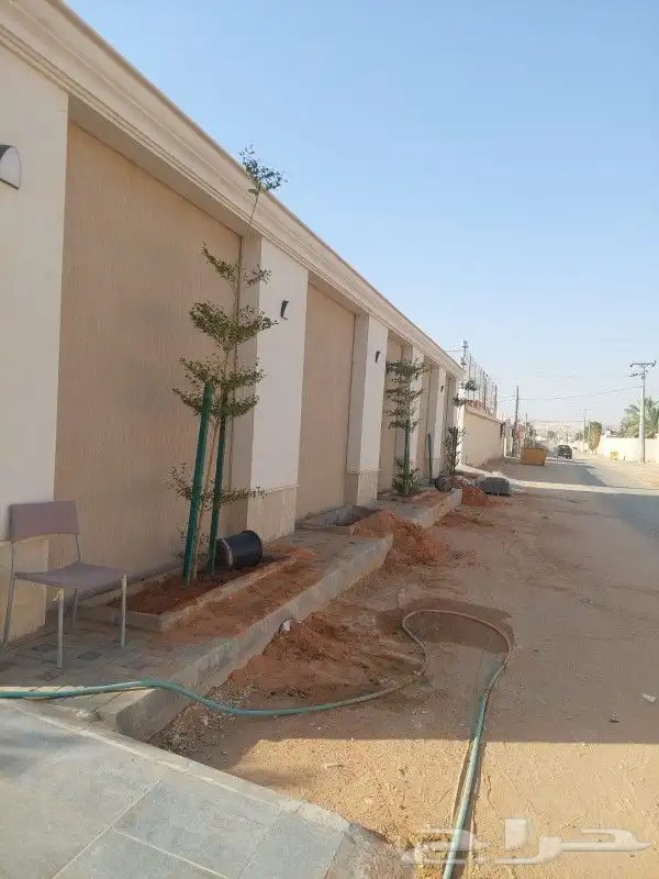 ثيل طبيعي C2000 جوده عاليه جدا مع شبكات الري الحديثه 5