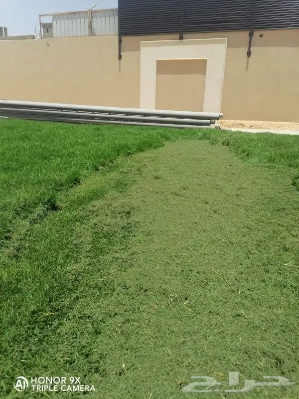 ثيل طبيعي C2000 جوده عاليه جدا مع شبكات الري الحديثه 12
