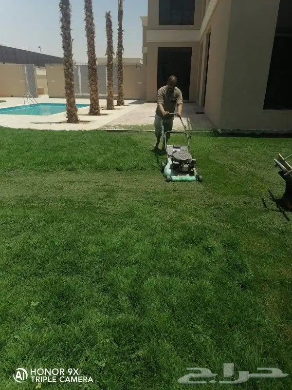 ثيل طبيعي C2000 جوده عاليه جدا مع شبكات الري الحديثه 11