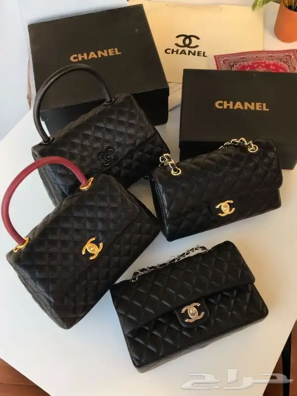 شنط شوزات ماركة 4