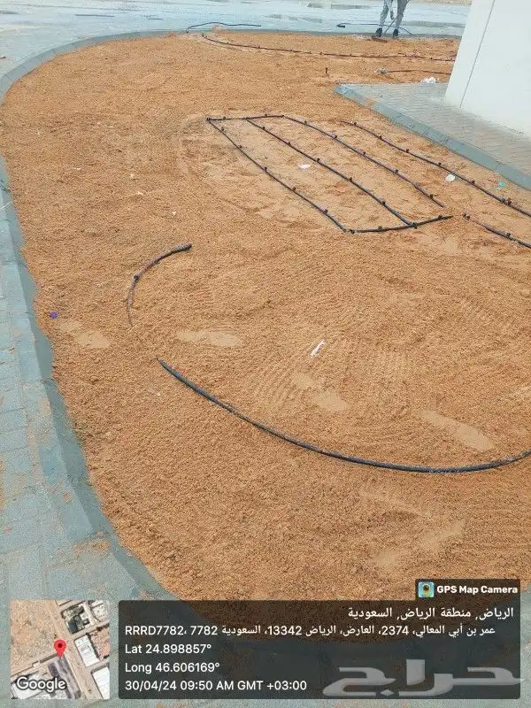 ثيل طبيعي C2000 جوده عاليه جدا مع شبكات الري الحديثه 14