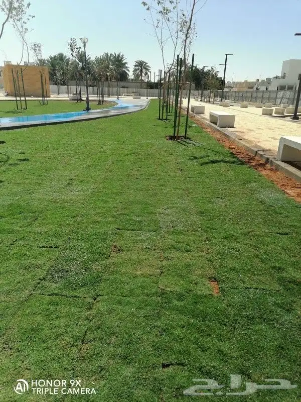 ثيل طبيعي C2000 جوده عاليه جدا مع شبكات الري الحديثه 9