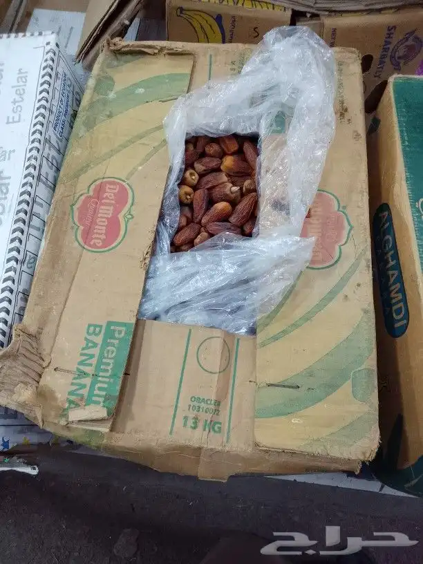 تمور حائل الفاخره 7