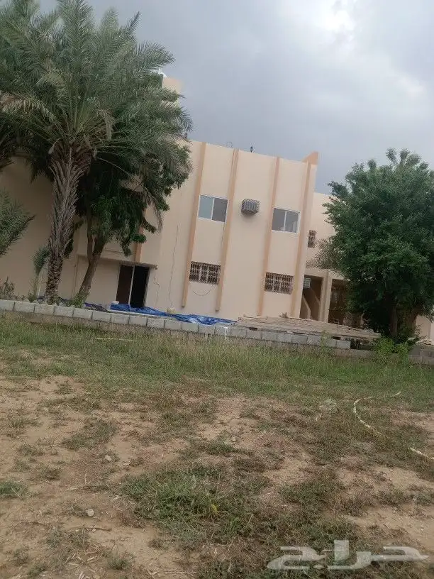 تنفيذ جميع انواع البويات وديكورات المجارده النماص تنومه 0
